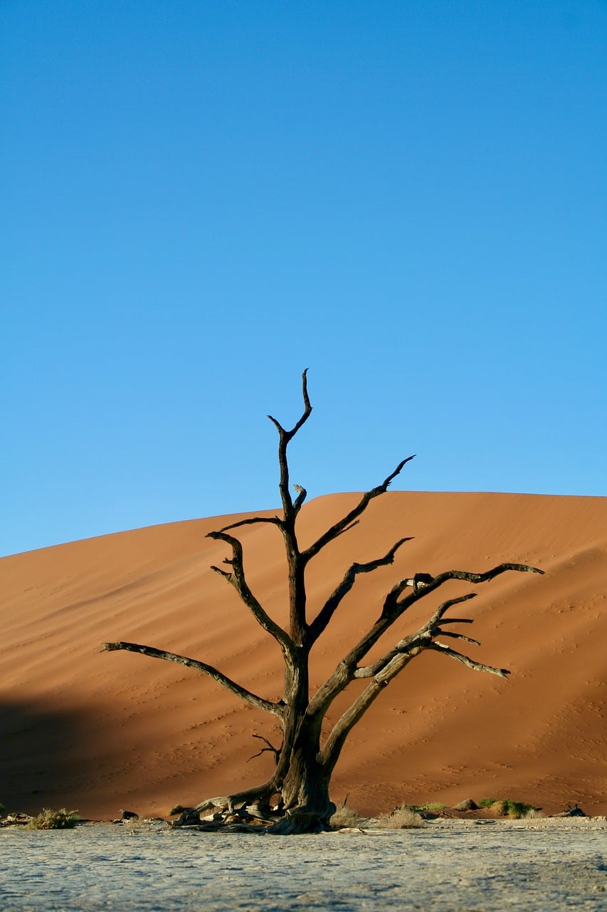 Sesriem Sossusvlei dunes